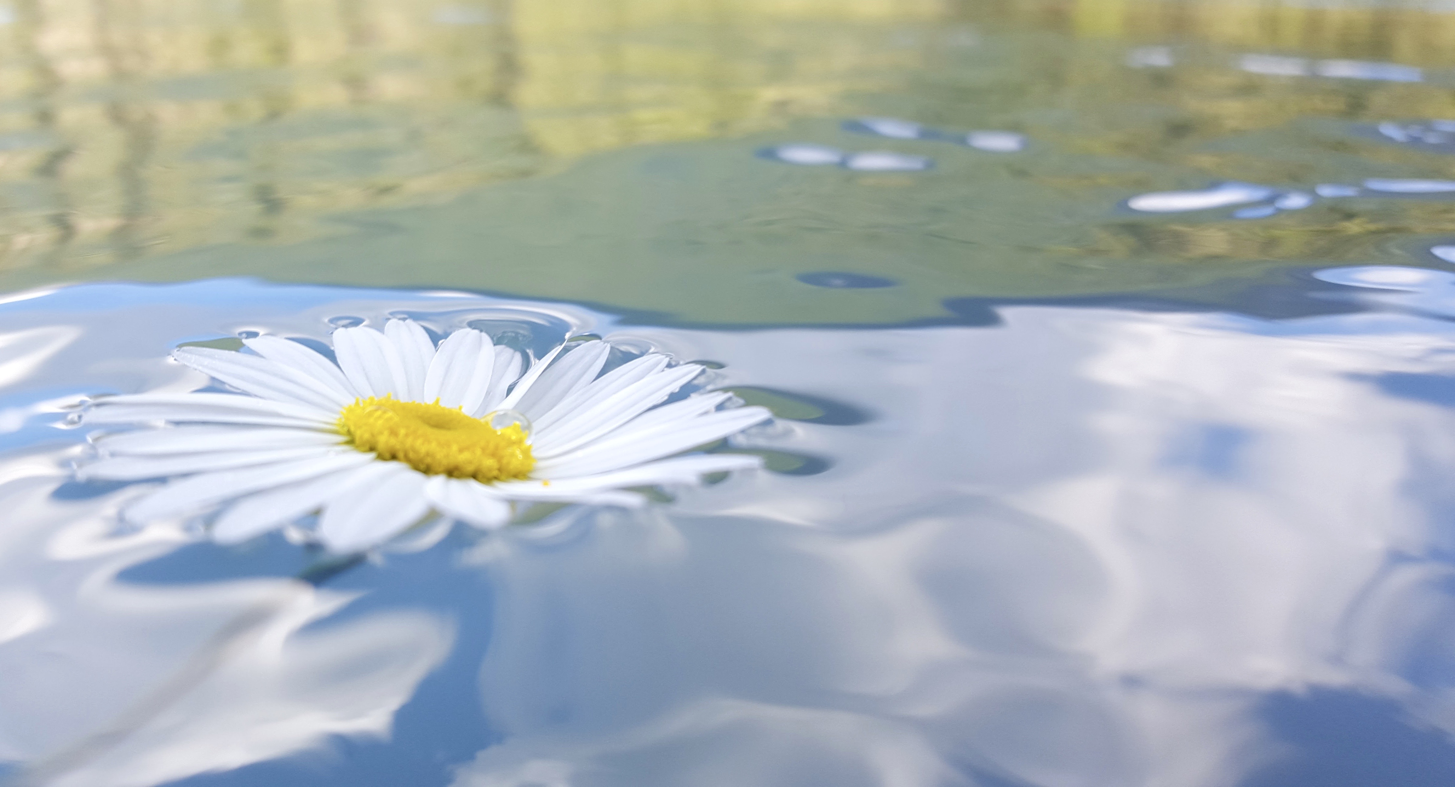 British Columbia - 2015